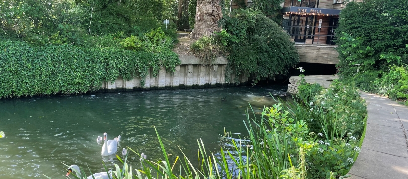 Mill at the Sonning