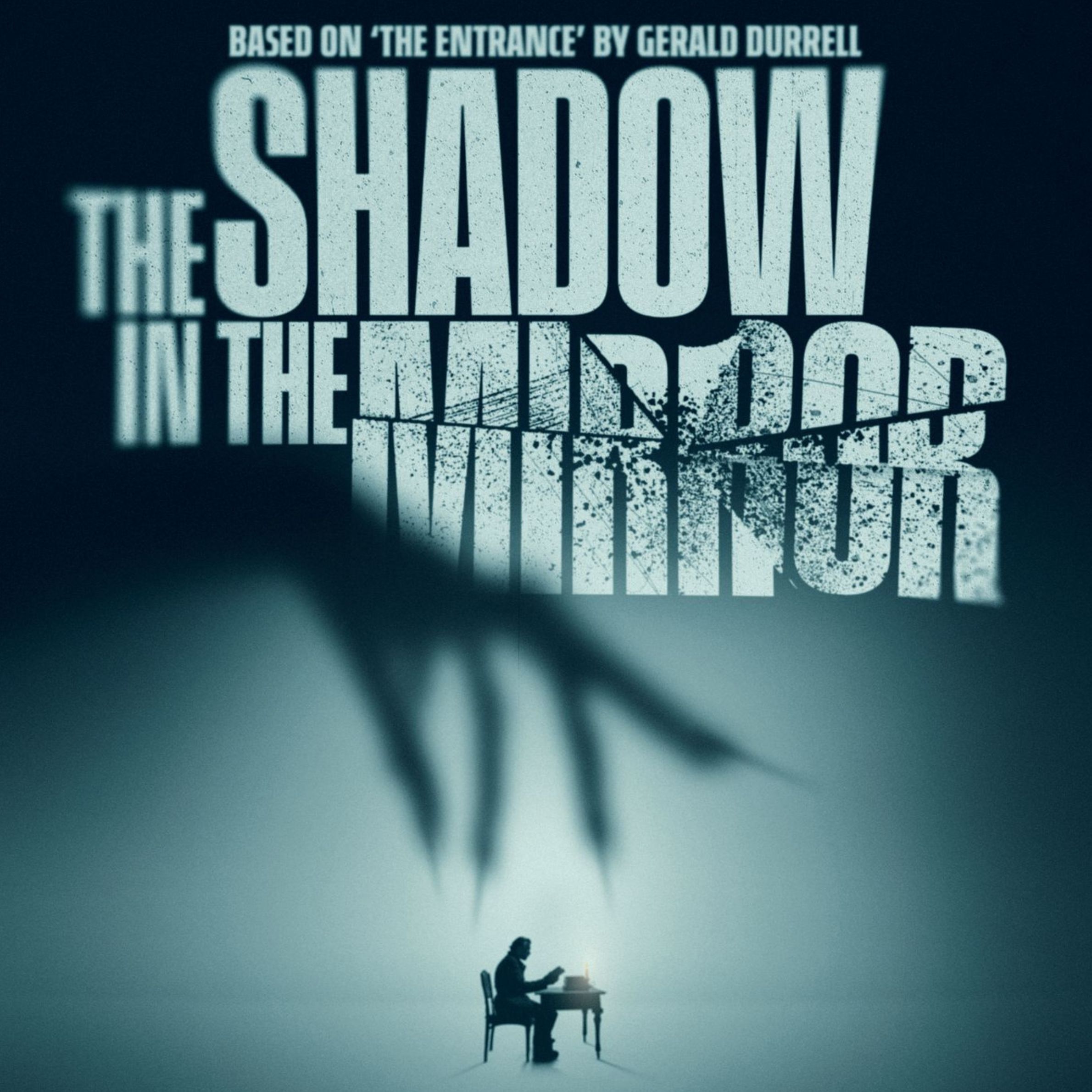 The Shadow In The Mirror