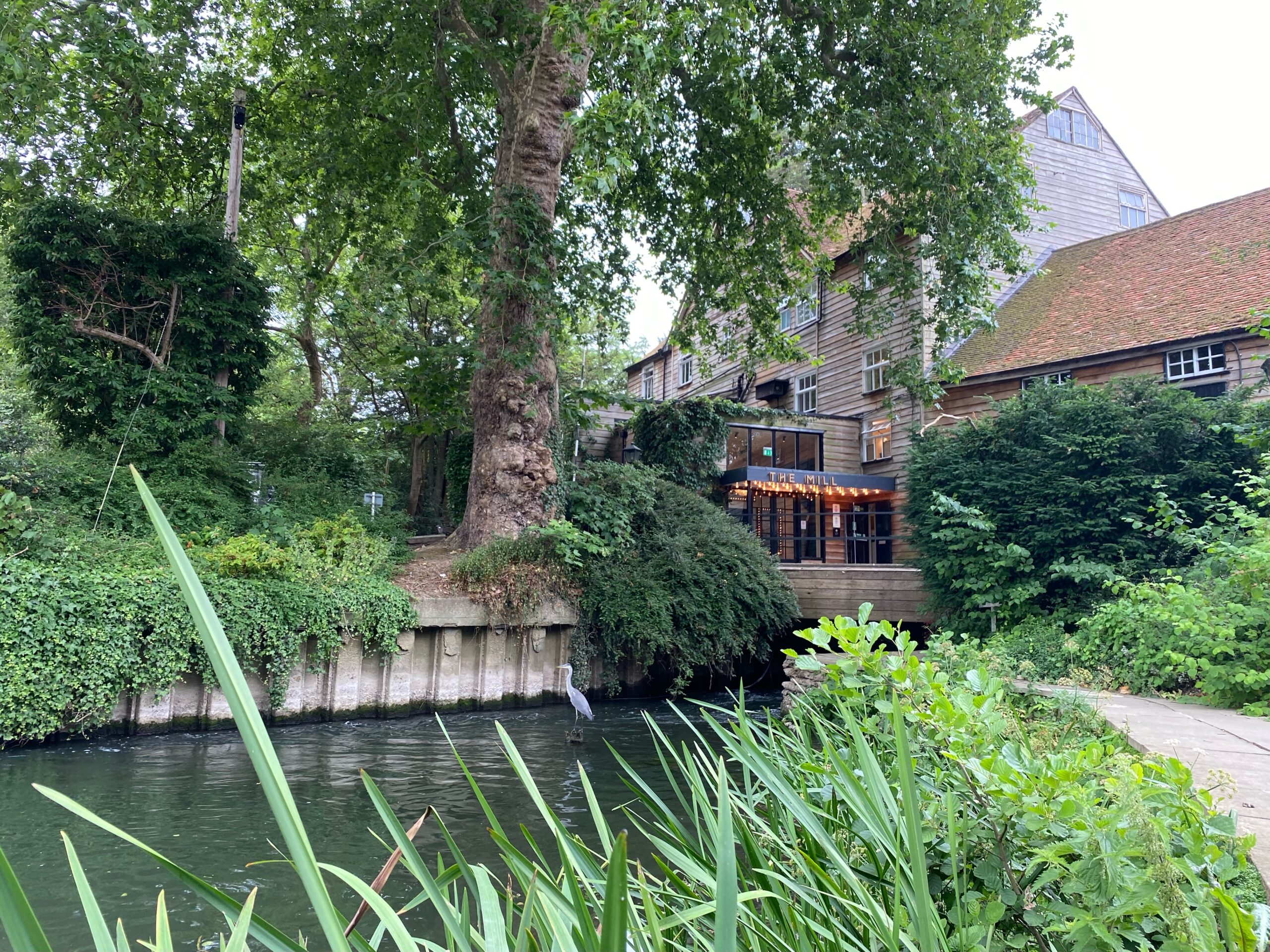 Mill at the Sonning